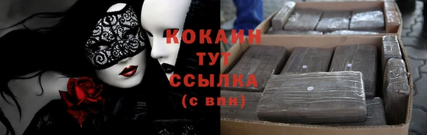 PSILOCYBIN Вязники